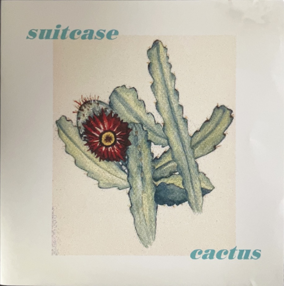 Cactus by Suitcase